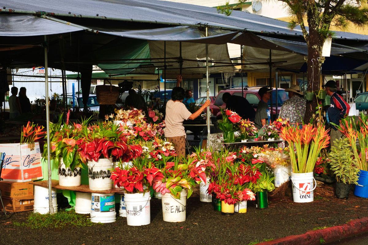 Hilo Farmers Market, Big Island