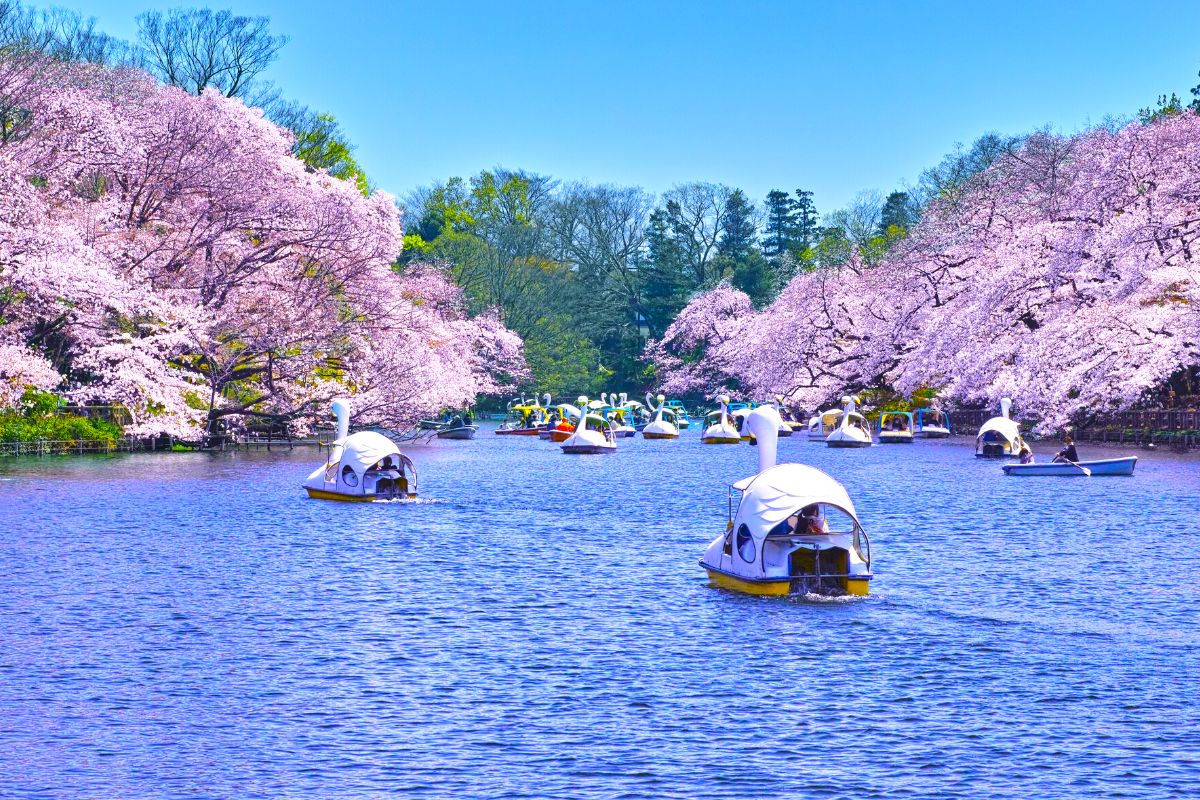 RARE - Mini Pouch - Sakura Cherry Blossom & Bell - pink Totoro