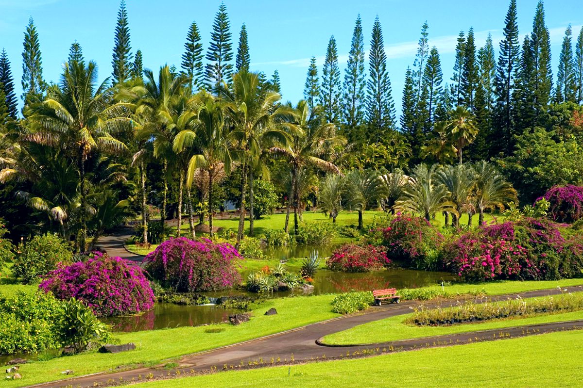 40 Fun & Unusual Things to Do in Hilo, Hawaii - TourScanner