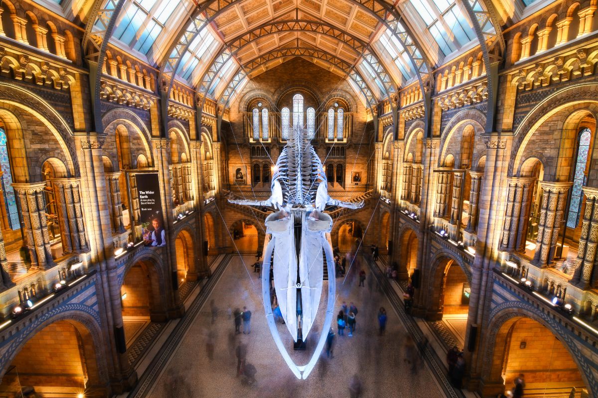 Natural History Museum, Central London