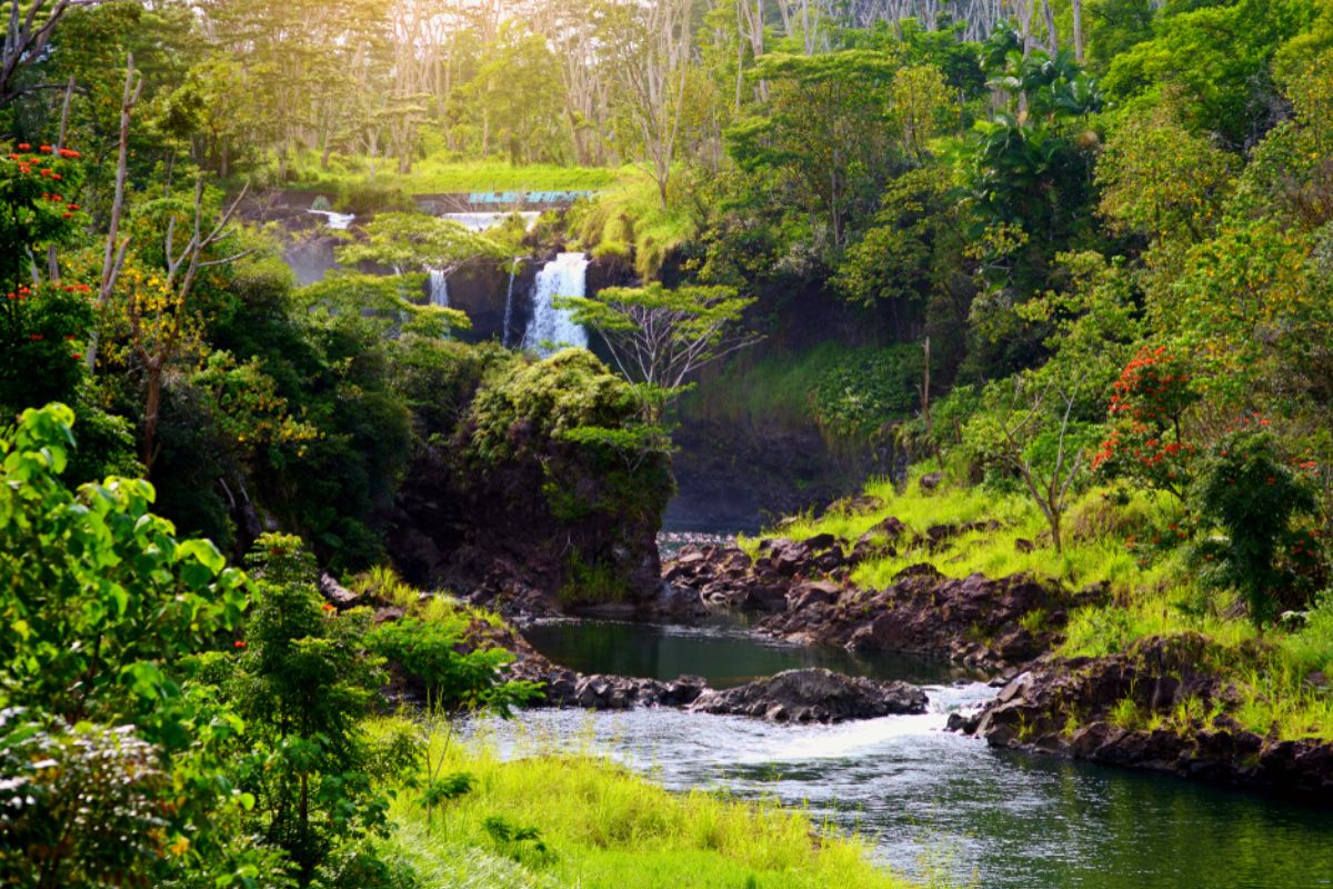 10 Fun Things to Do in Hilo January 2024