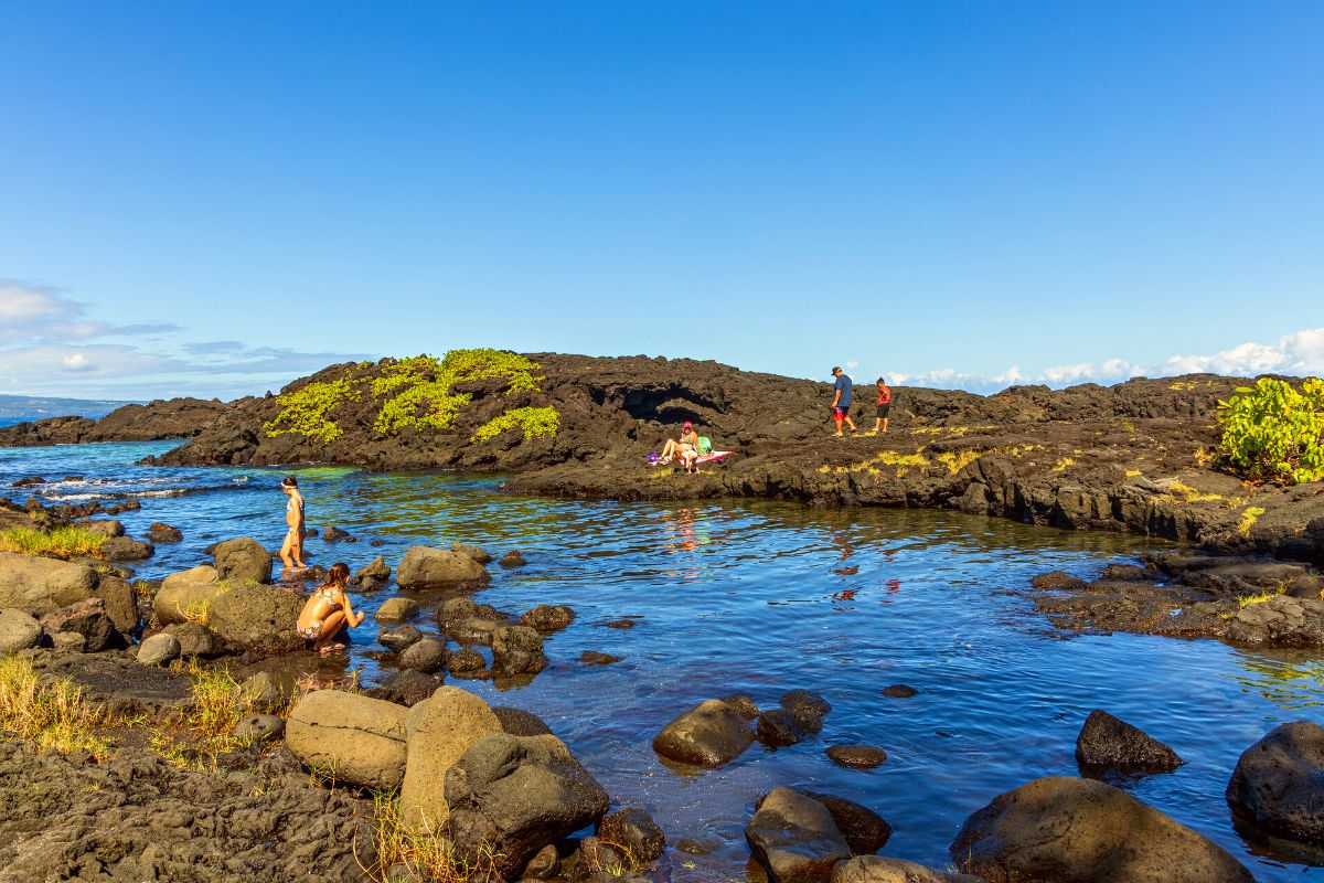 10 Fun Things to Do in Hilo January 2024