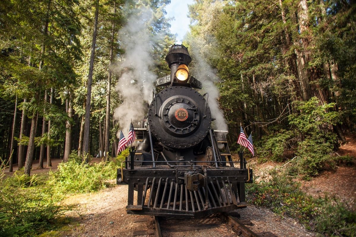 Skunk Train, San Francisco