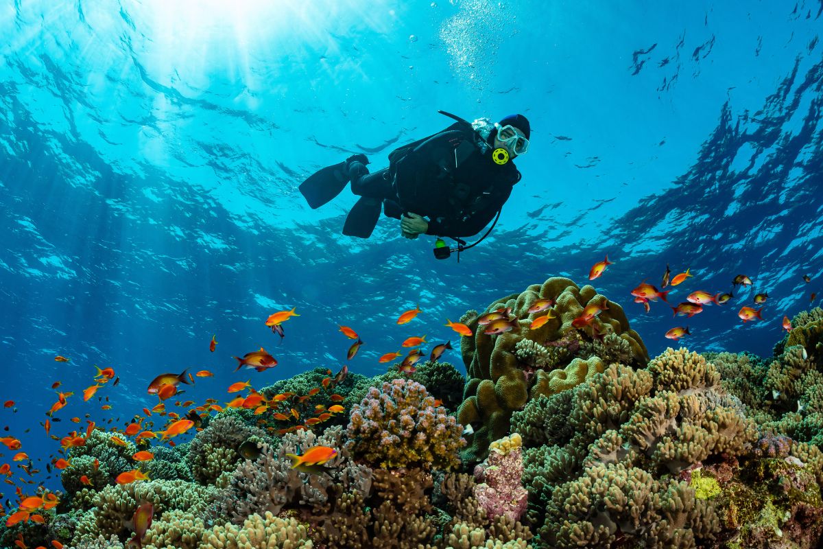 scuba diving in Cartagena