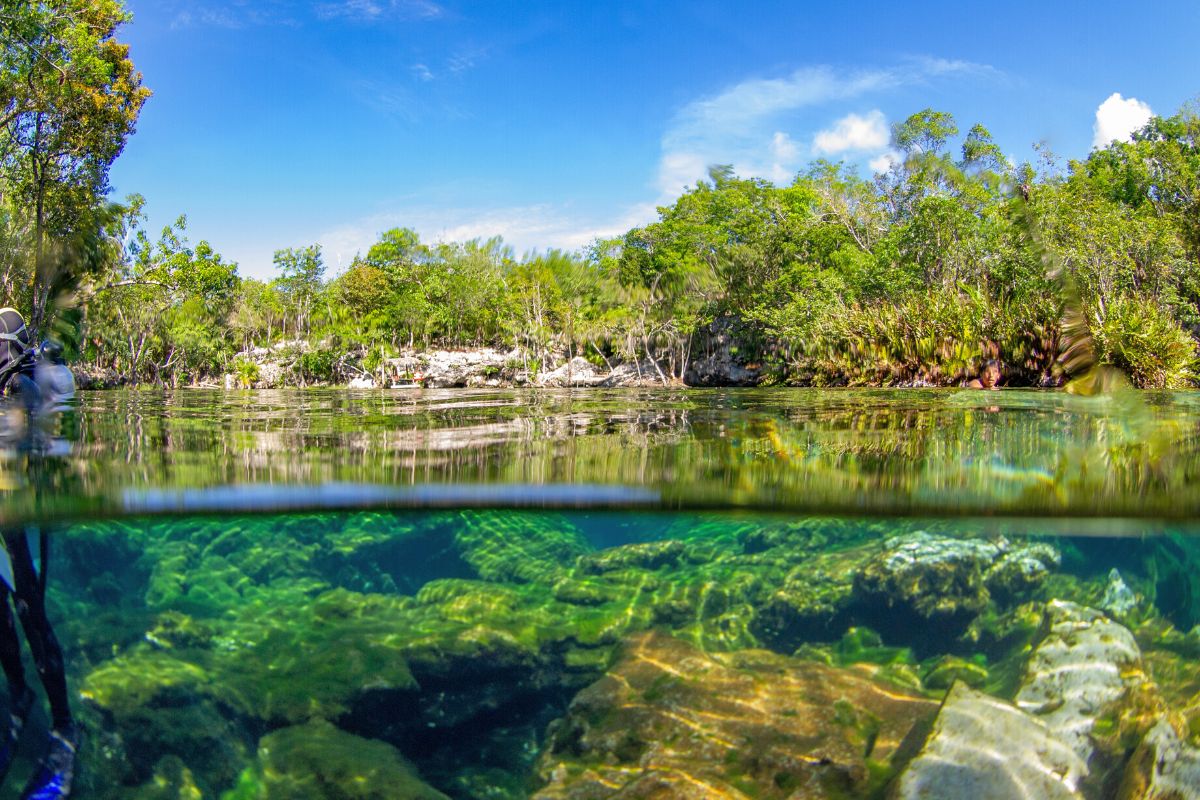Cenote Jardin Del Eden, Puerto Aventuras