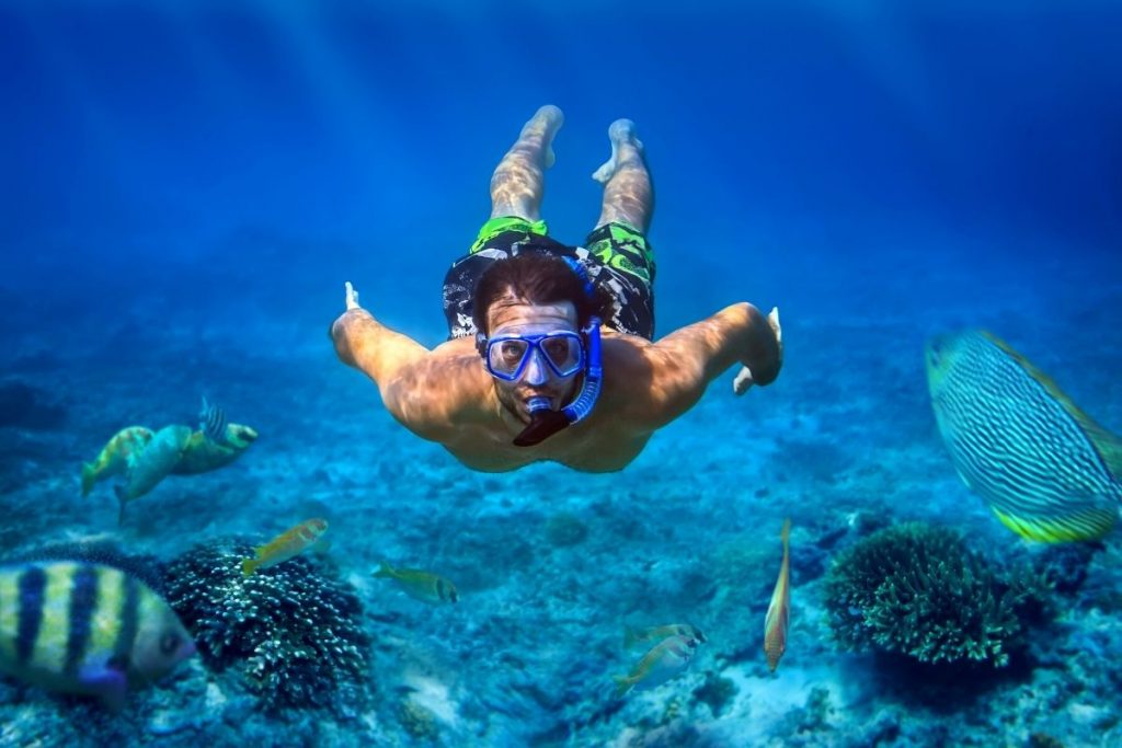 23 Best Snorkeling Spots on the Big Island, Hawaii (with Map) TourScanner