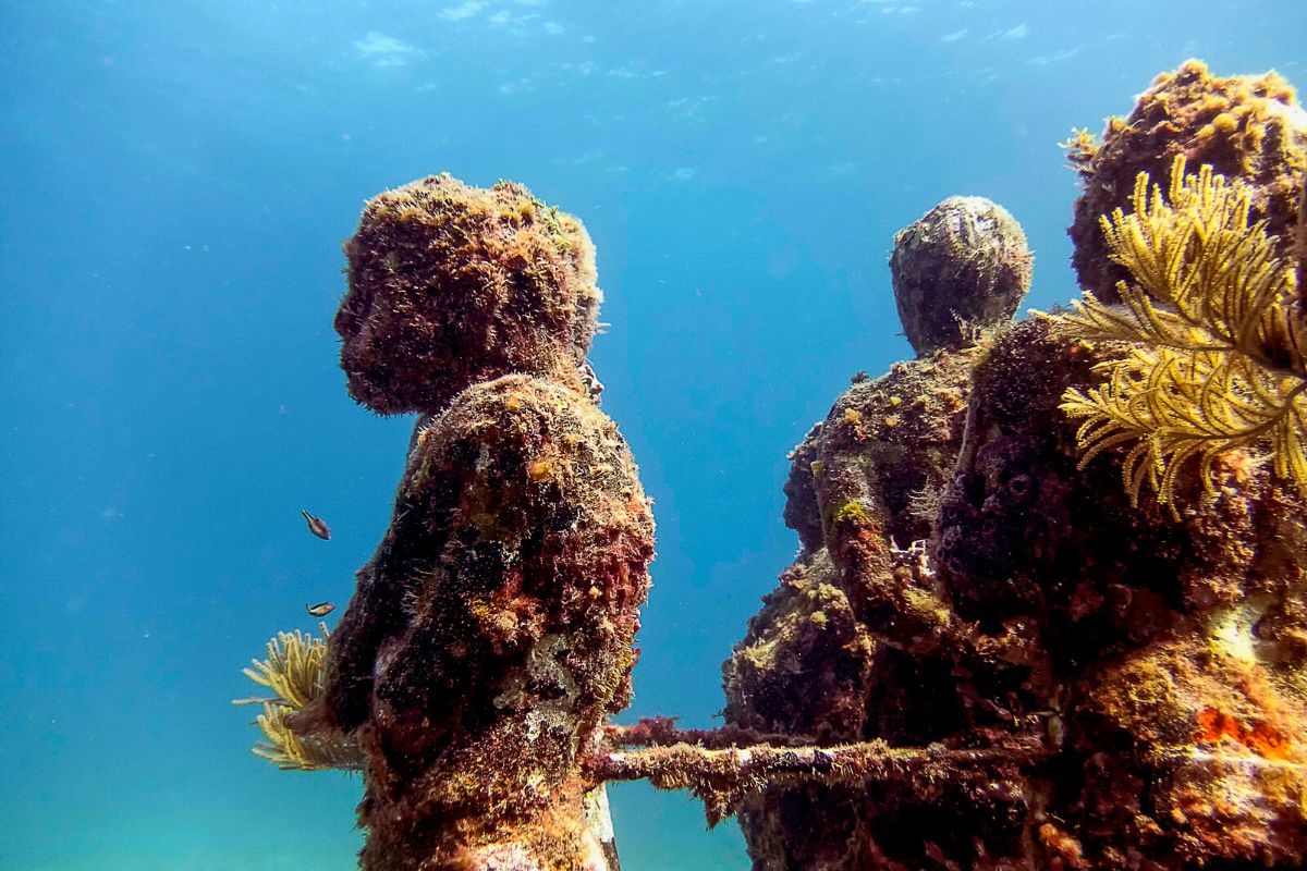 MUSA Underwater Museum Manchones Reef, Isla Mujeres