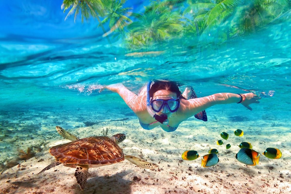 Maluaka Beach Turtle Town, Maui