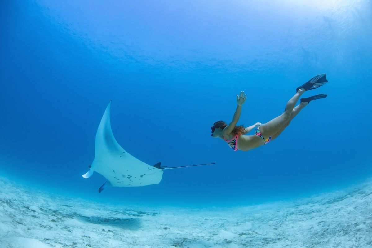 Manta Village, Big Island