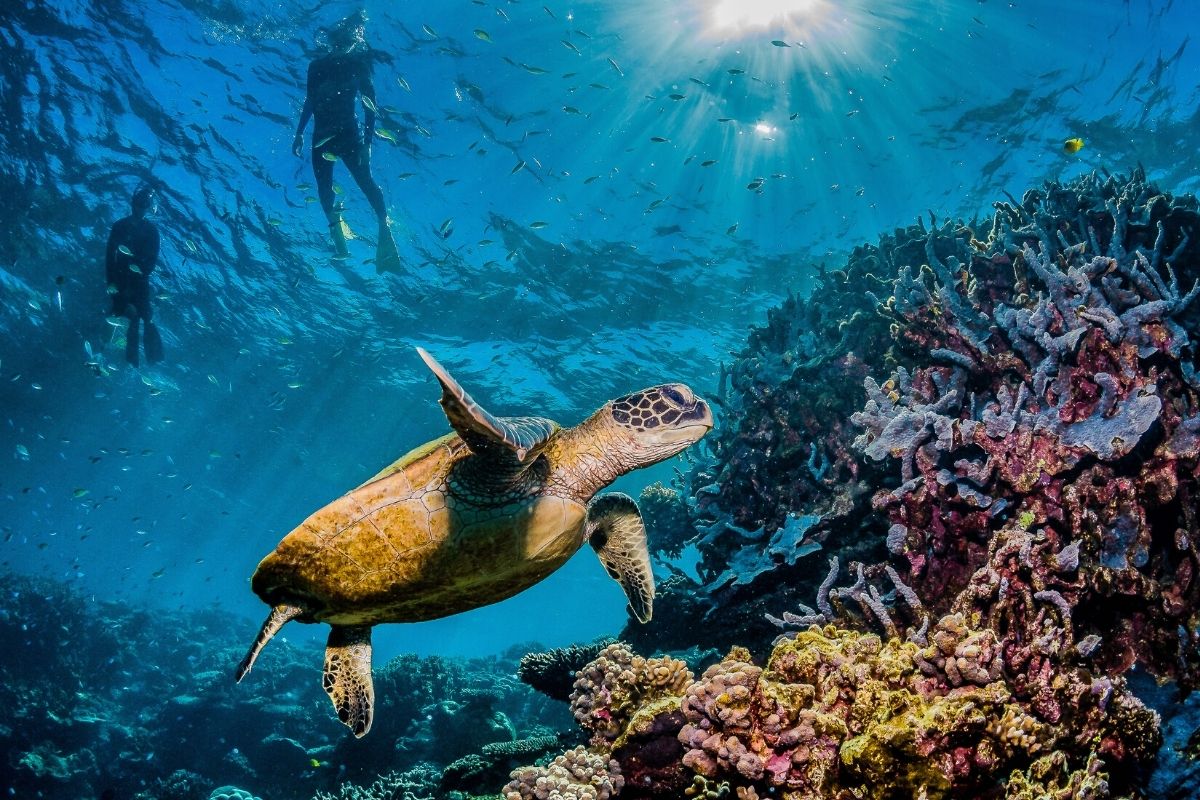 Po’olenalena Beach, Maui