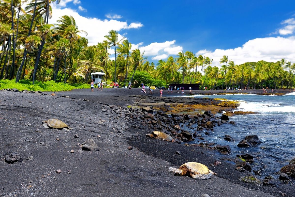 Punalu’u Black Sand Beach, Big Island