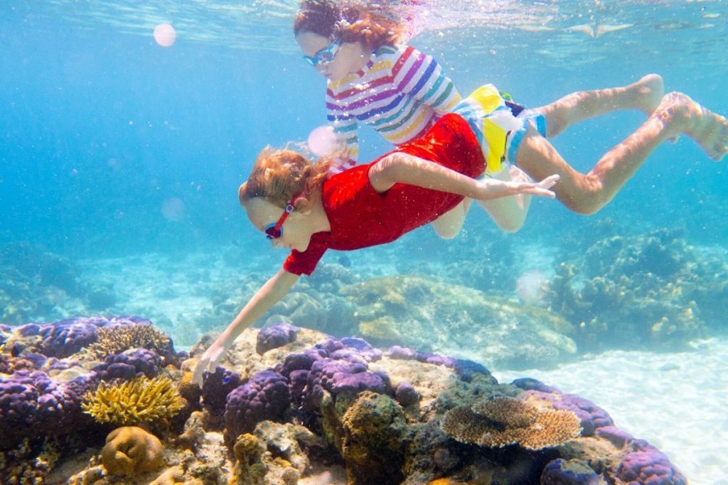 23 Best Snorkeling Spots on the Big Island, Hawaii (with Map) TourScanner