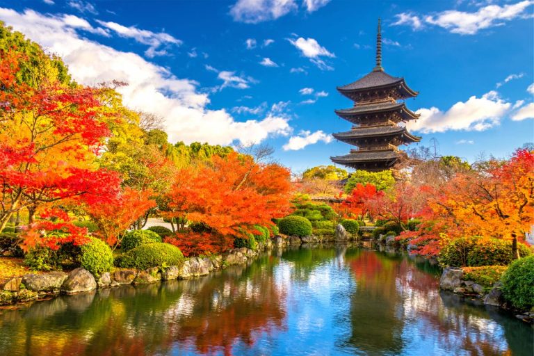 65 Fun & Unusual Things to Do in Kyoto, Japan - TourScanner