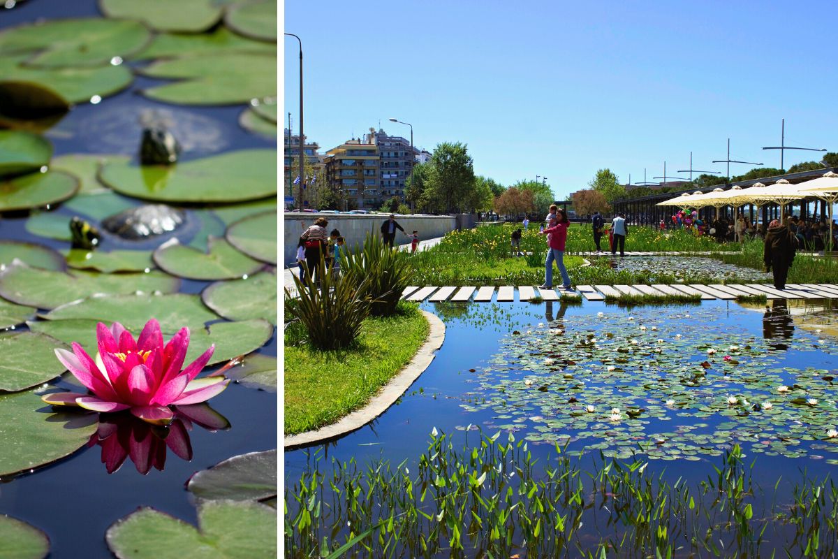 Water Garden, Thessaloniki