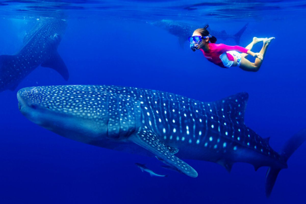 best snorkeling spots in Cancun, Mexico