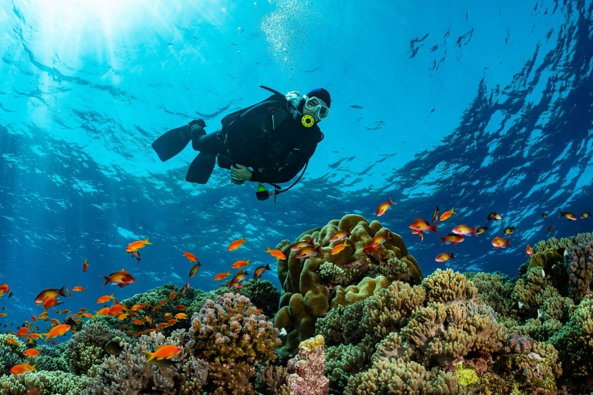 scuba diving near Cancun