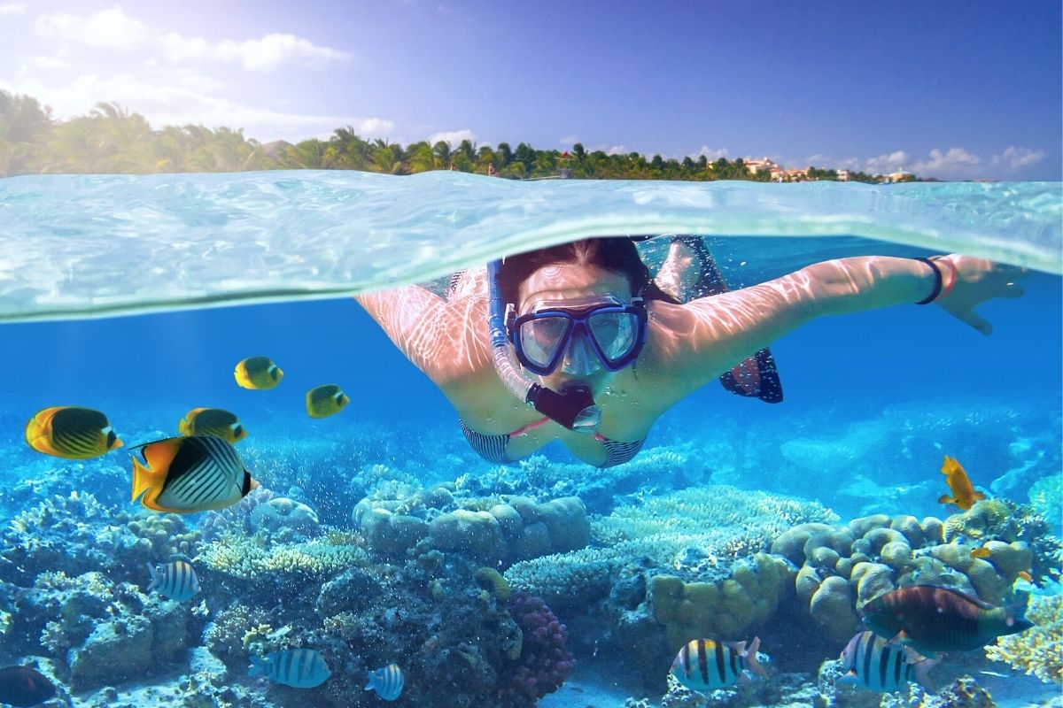 Which Hawaiian Island Is Best For Snorkeling