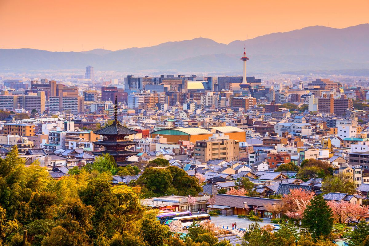 The Treetop Temple Protects Kyoto  Nature desktop, Nature desktop