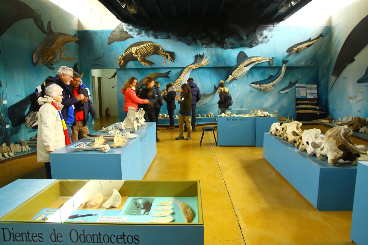 Acatushun Museum, Ushuaia