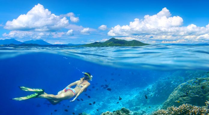 Best Snorkeling Spots in Oahu