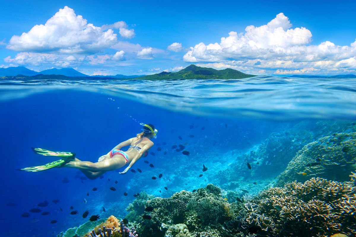 Best Snorkeling Spots in Oahu
