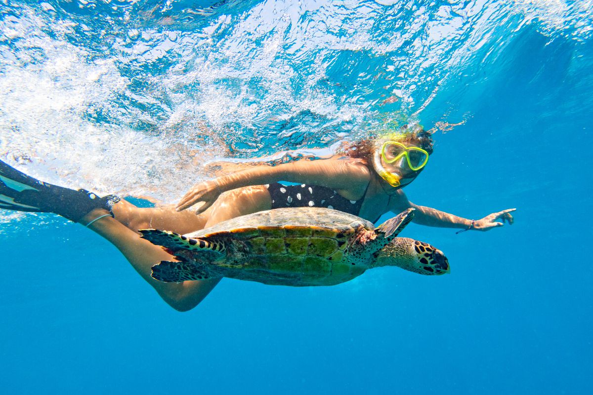 best snorkeling excursions in oahu