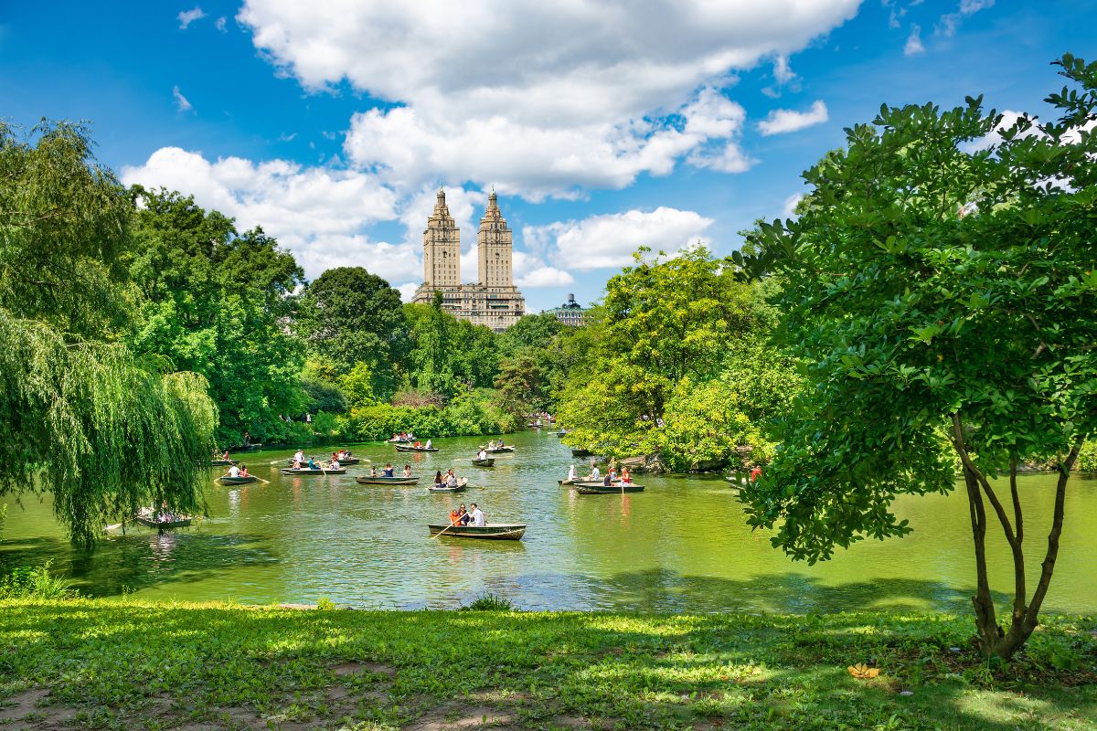 A Stroll Through Central Park in NYC