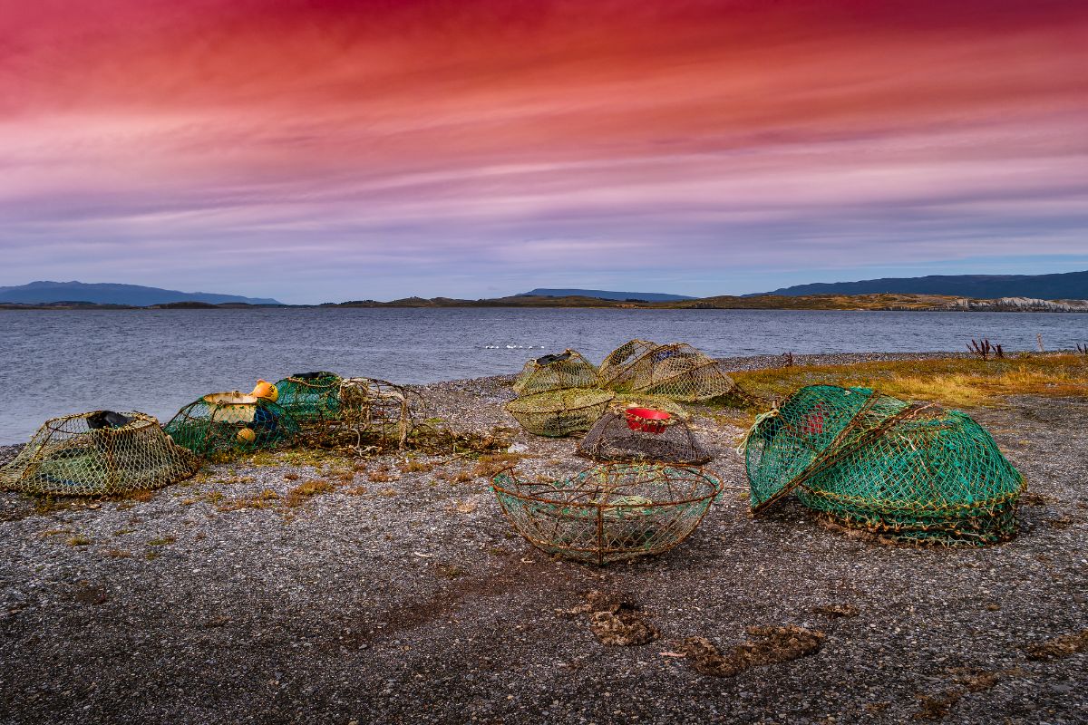 crab fishing in Ushuaia