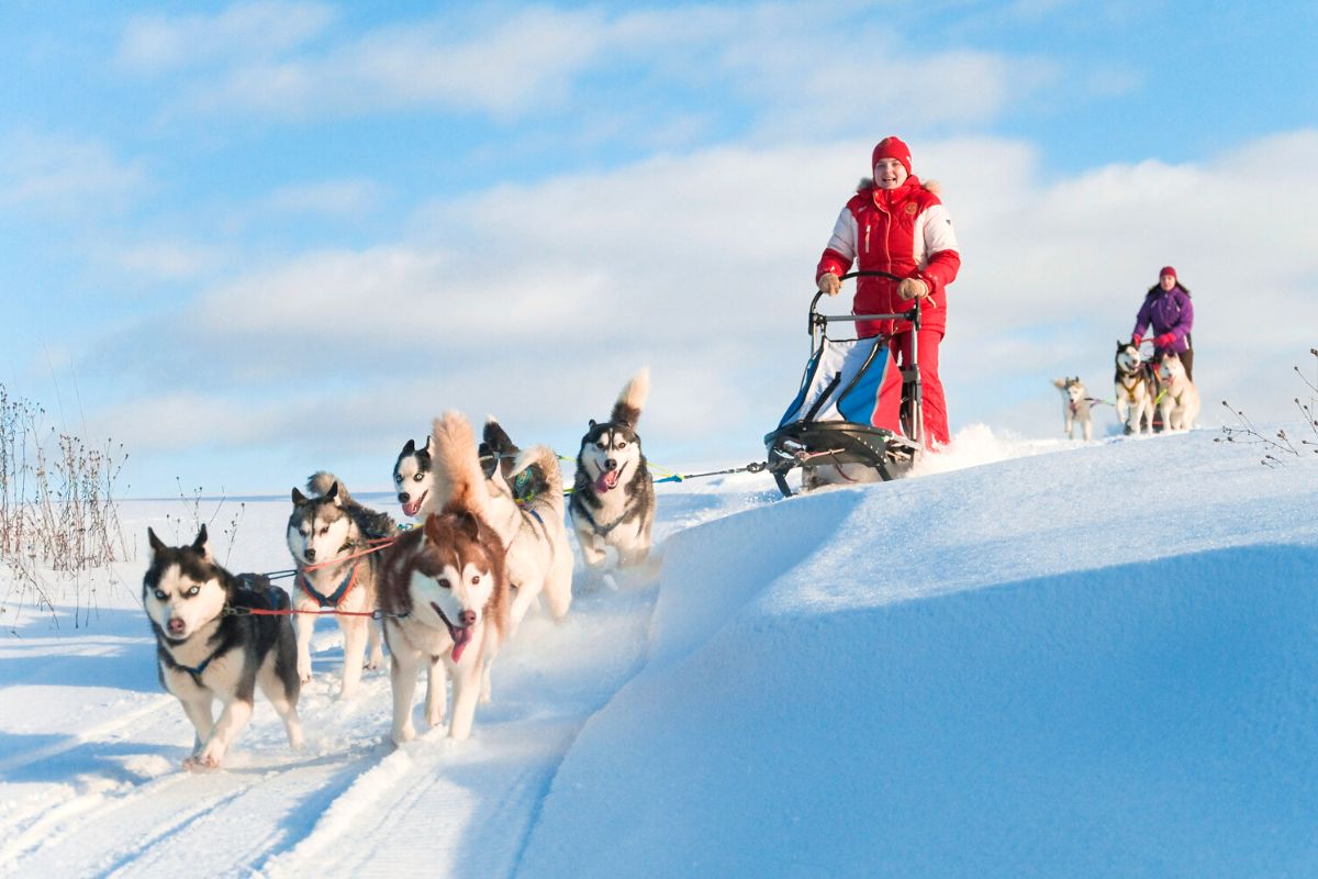 dog sledding in Ushuaia