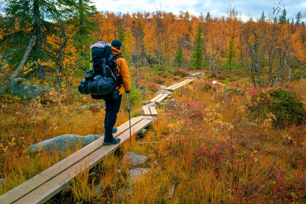 nature trails in Rovaniemi
