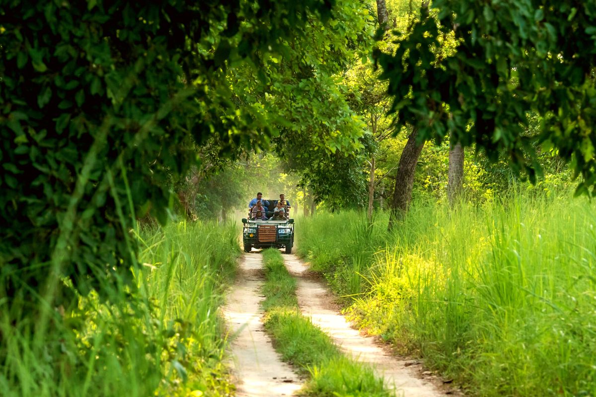 jeep tours in Da Nang