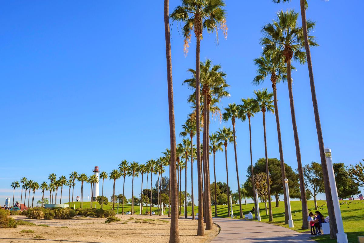 Long Beach Parks, Recreation and Marine Partners with Los Angeles