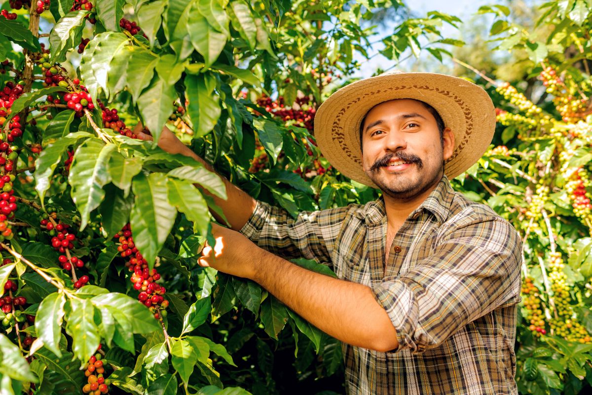 coffee tours from San Jose