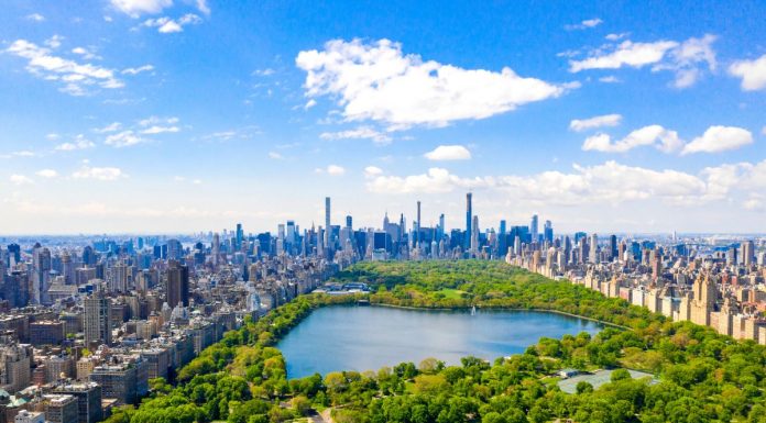things to do in Central Park, New York City