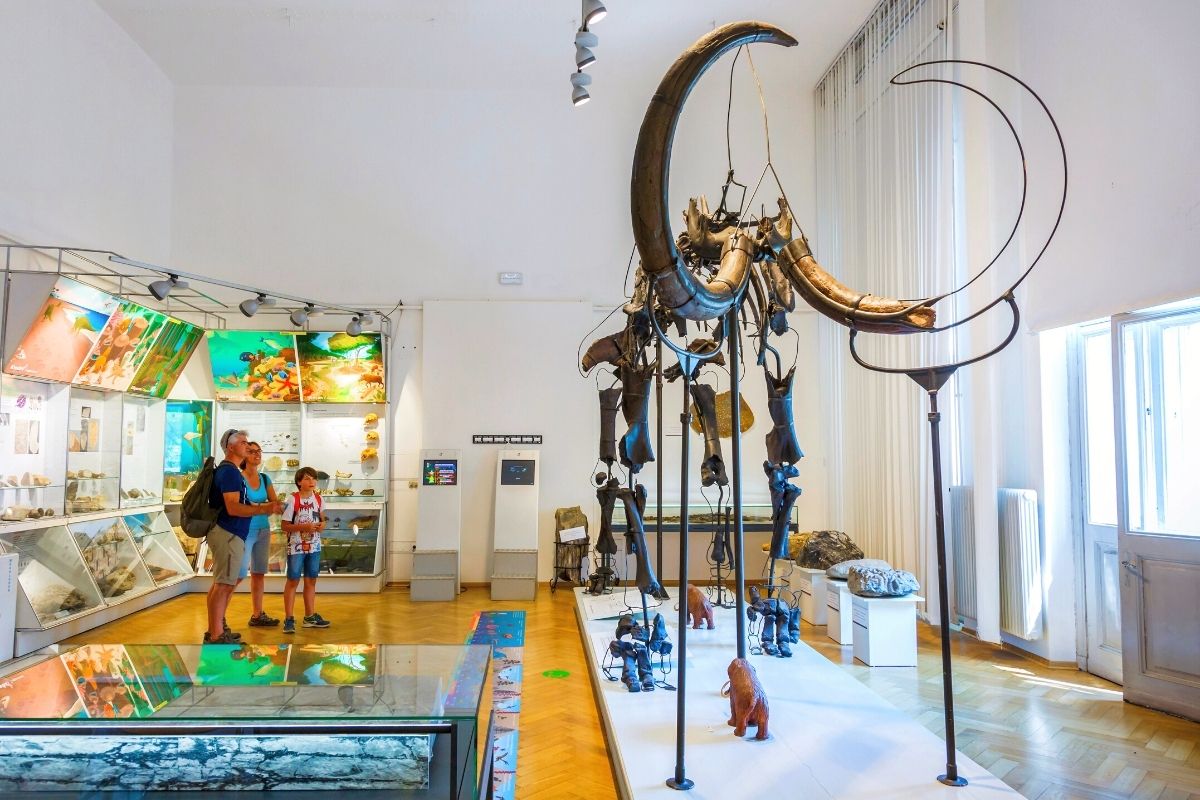 Natural History Museum of Slovenia, Ljubljana