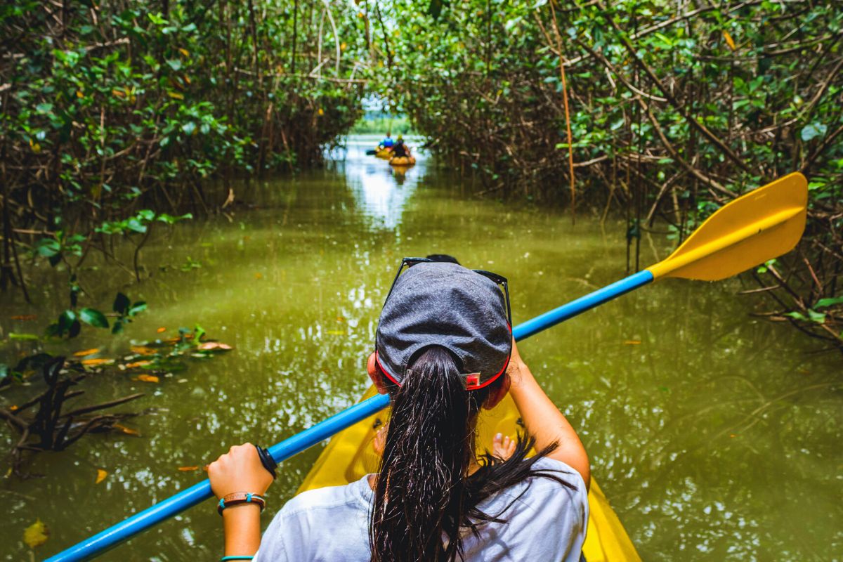 kayaking tours in Tamarindo