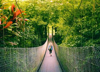 things to do in Monteverde