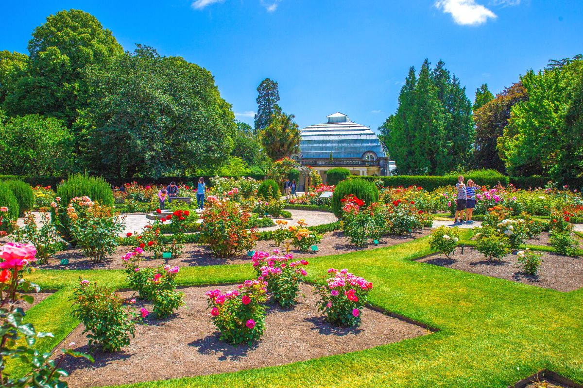 Christchurch Botanic Gardens, New Zealand