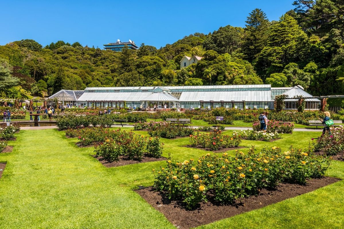 Lady Norwood Rose Garden, Wellington