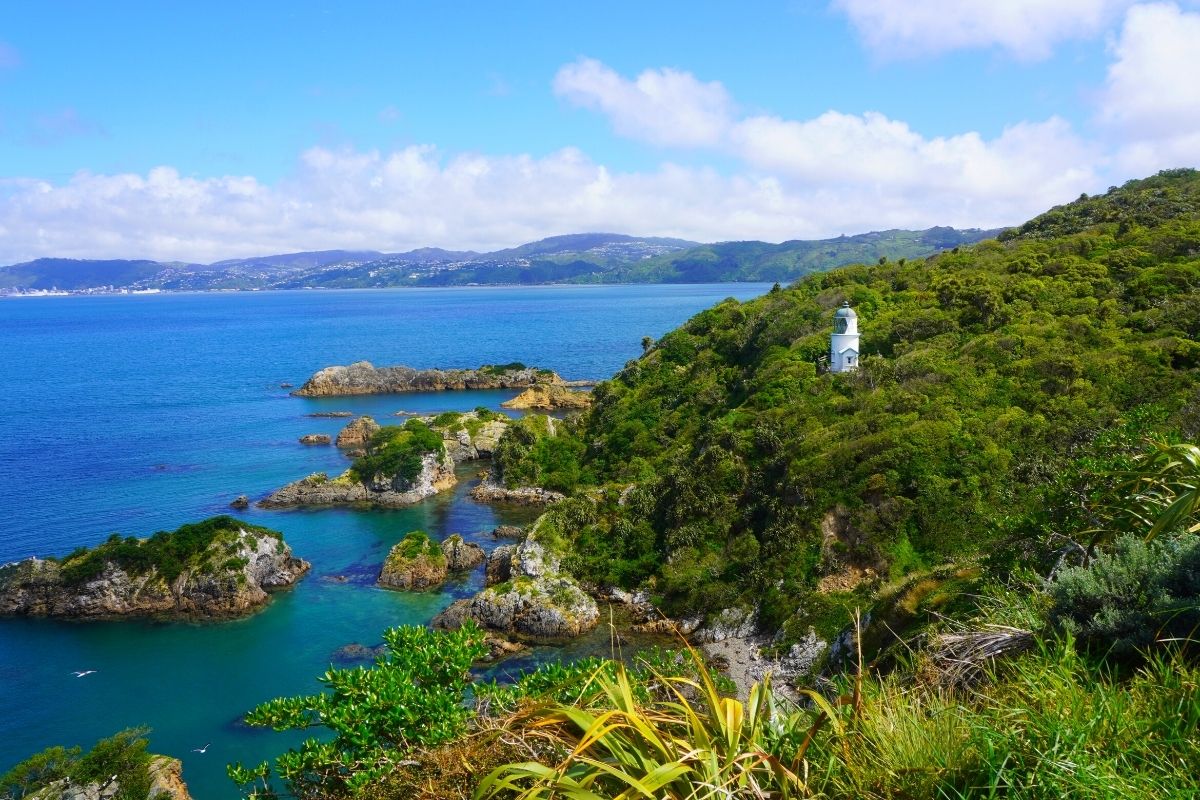 Matiu Somes Island, New Zealand