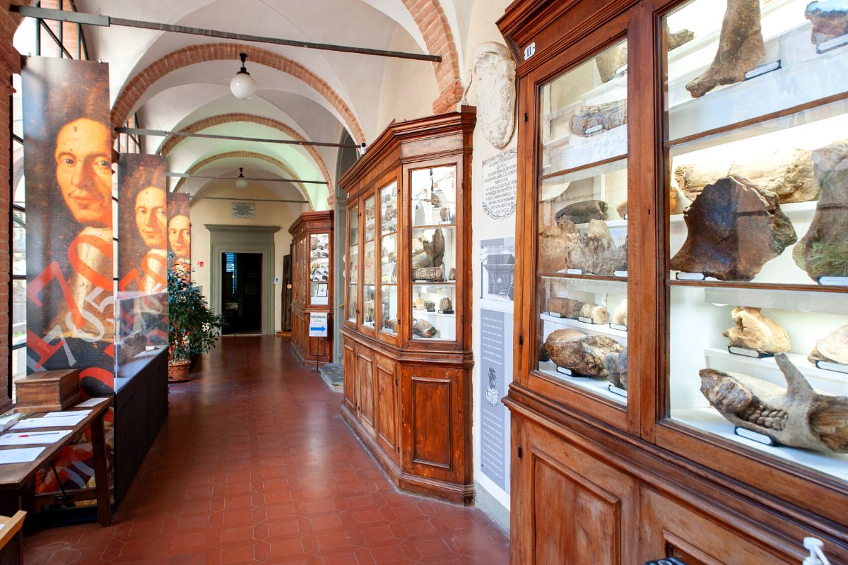 Musei dell’Accademia dei Fisiocritici, Siena