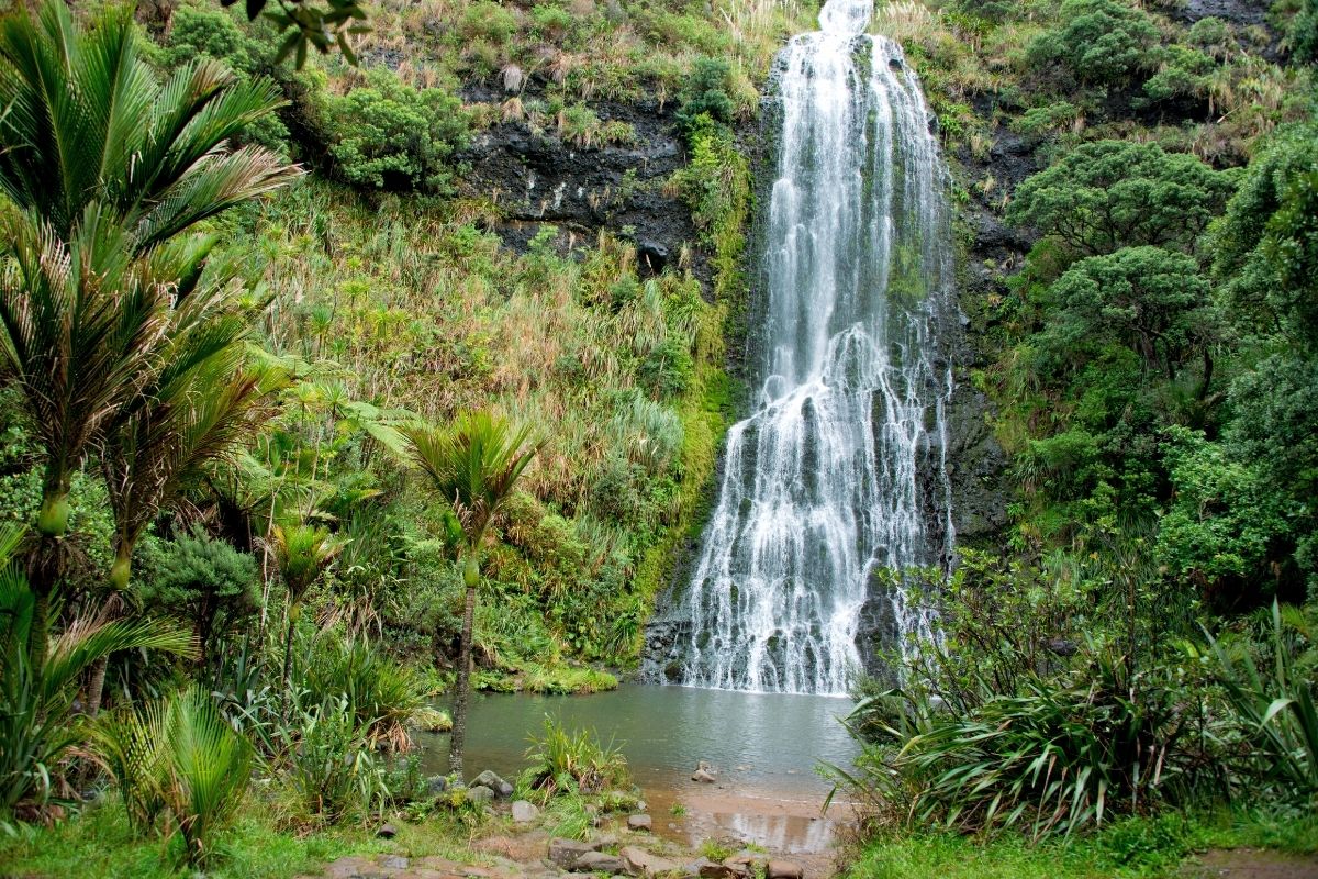 Waitakere Ranges, New Zealand