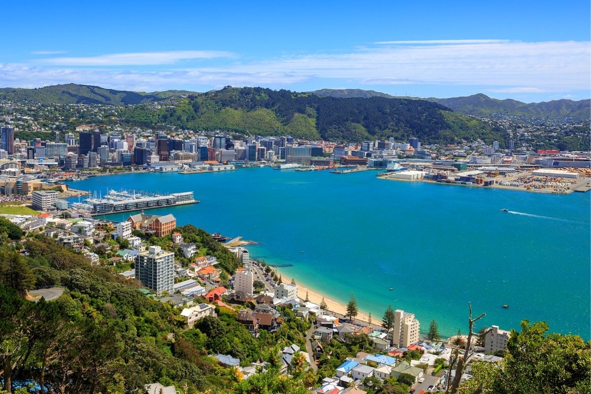 Locals Share What Makes Wellington The Best Place In The