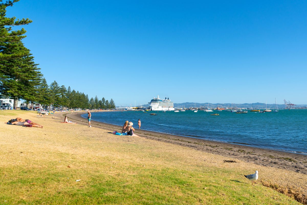 Pilot Bay Beach, Tauranga