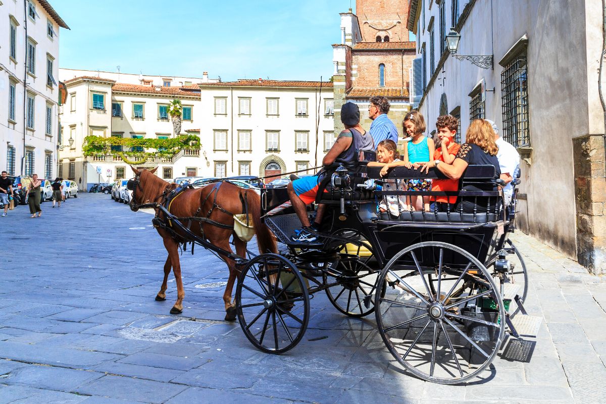 carriage tours in Lucca