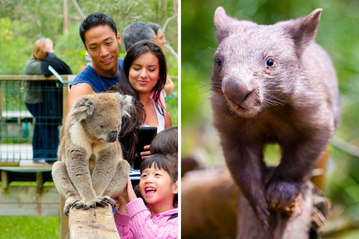 Ballarat Wildlife Park in Melbourne