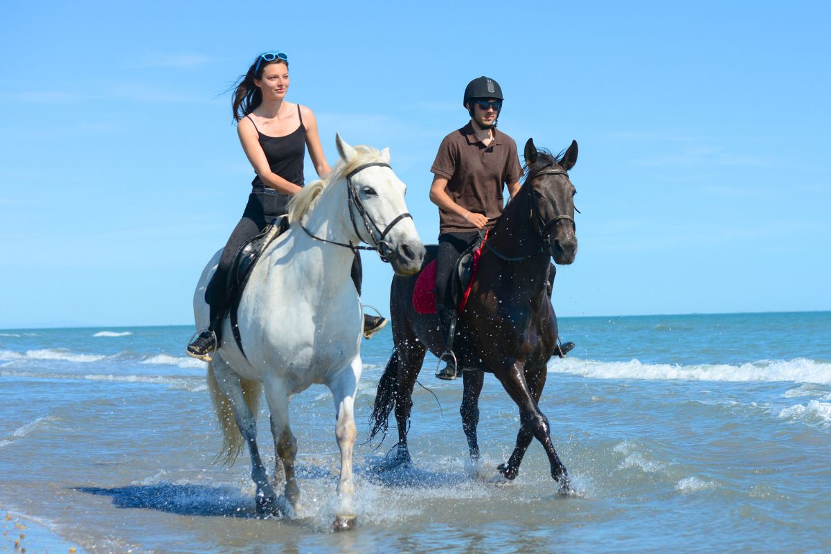 horse riding in Faro