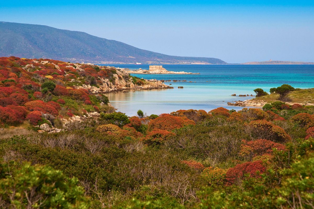 Dormire all'Asinara