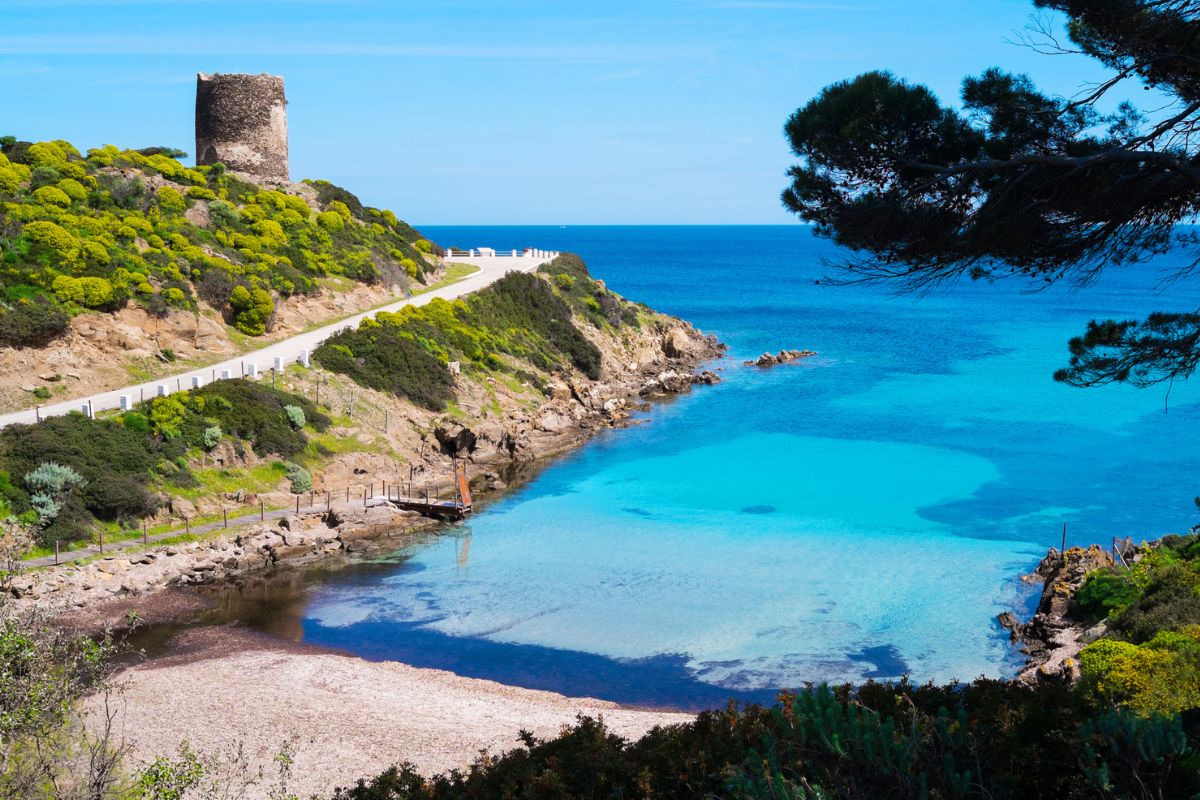 Escursioni Asinara bicicletta