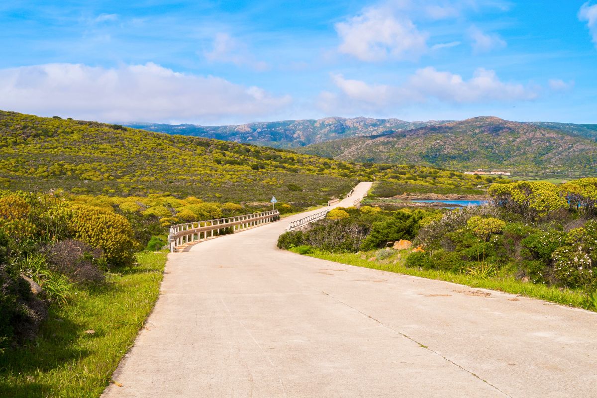 Escursioni Asinara via terra